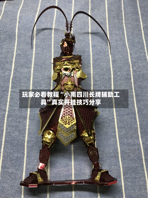 玩家必看教程“小南四川长牌辅助工具”真实开挂技巧分享-第1张图片