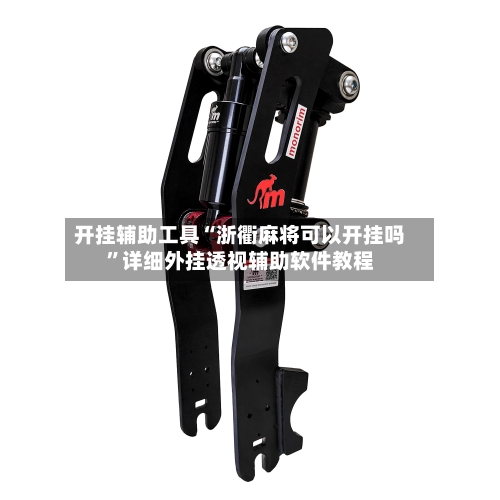 开挂辅助工具“浙衢麻将可以开挂吗”详细外挂透视辅助软件教程-第1张图片