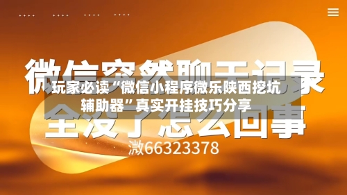 玩家必读“微信小程序微乐陕西挖坑辅助器”真实开挂技巧分享-第2张图片