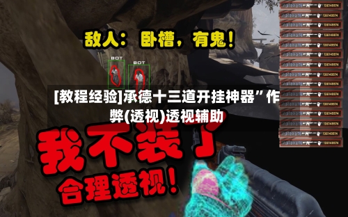 [教程经验]承德十三道开挂神器”作弊(透视)透视辅助-第1张图片