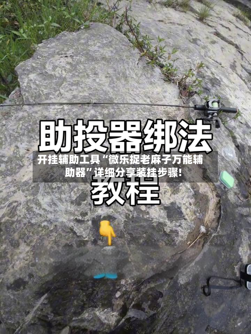 开挂辅助工具“微乐捉老麻子万能辅助器	”详细分享装挂步骤!-第1张图片