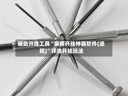 辅助开挂工具“麻将开挂神器软件(透视)”详细开挂玩法-第3张图片