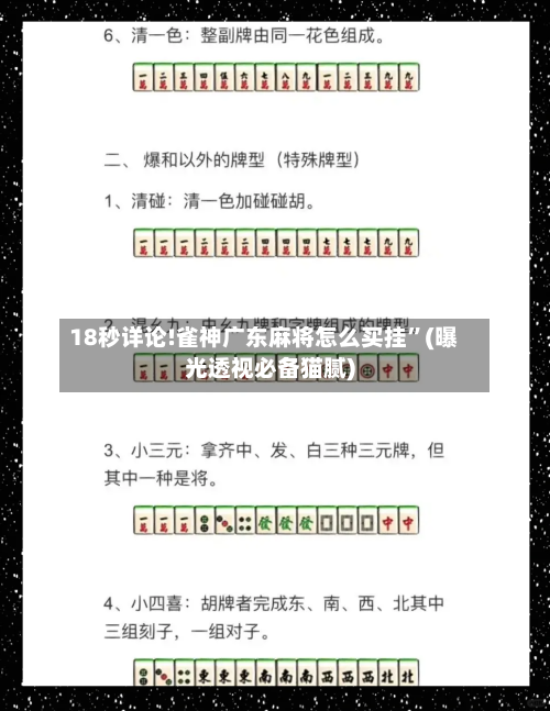 18秒详论!雀神广东麻将怎么买挂”(曝光透视必备猫腻)-第1张图片