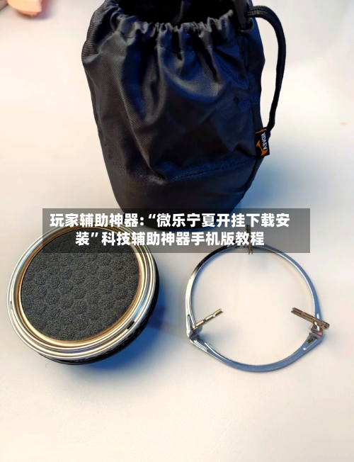 玩家辅助神器:“微乐宁夏开挂下载安装”科技辅助神器手机版教程-第1张图片