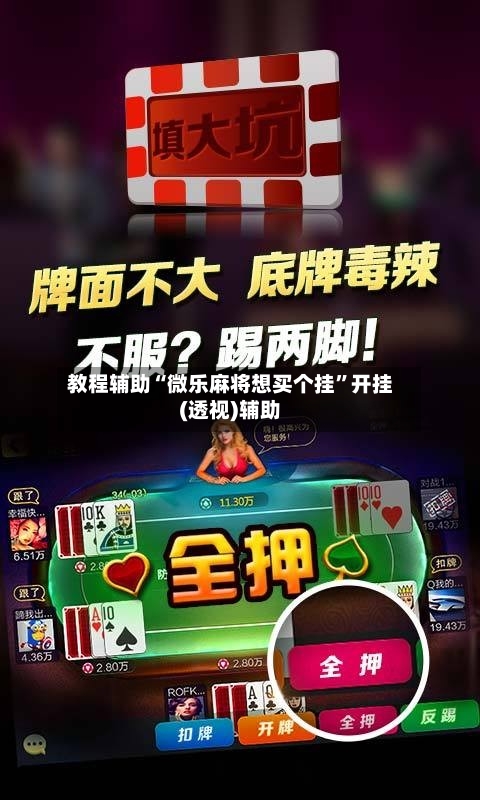 教程辅助“微乐麻将想买个挂”开挂(透视)辅助-第2张图片