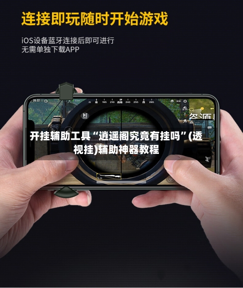 开挂辅助工具“逍遥阁究竟有挂吗”(透视挂)辅助神器教程-第2张图片