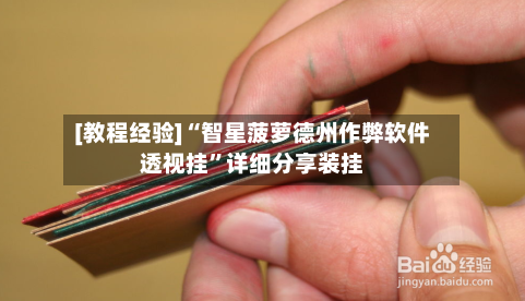 [教程经验]“智星菠萝德州作弊软件透视挂”详细分享装挂-第3张图片