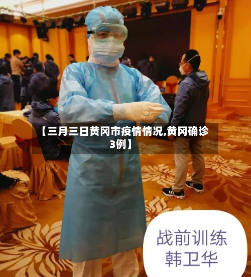 【三月三日黄冈市疫情情况,黄冈确诊3例】-第2张图片