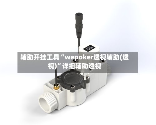 辅助开挂工具“wepoker透视辅助(透视)”详细辅助透视-第3张图片
