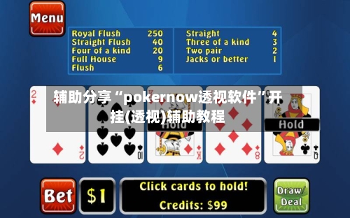 辅助分享“pokernow透视软件	”开挂(透视)辅助教程-第2张图片
