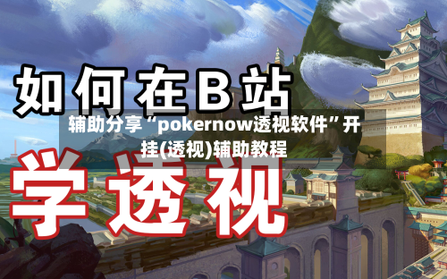 辅助分享“pokernow透视软件”开挂(透视)辅助教程-第3张图片
