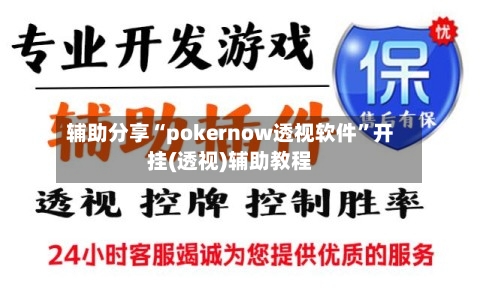辅助分享“pokernow透视软件”开挂(透视)辅助教程-第1张图片