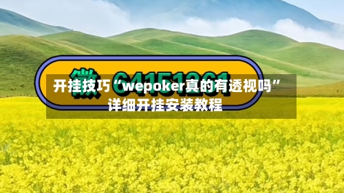 开挂技巧“wepoker真的有透视吗”详细开挂安装教程-第1张图片