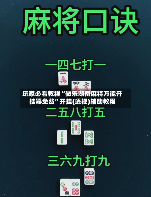 玩家必看教程“微乐湖南麻将万能开挂器免费”开挂(透视)辅助教程-第2张图片