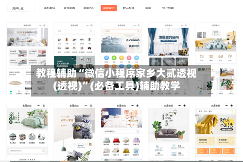 教程辅助“微信小程序家乡大贰透视(透视)”(必备工具)辅助教学-第1张图片