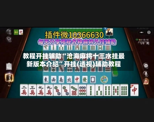 教程开挂辅助“沧海麻将十三水挂最新版本介绍	”开挂(透视)辅助教程-第2张图片