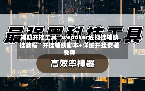 辅助开挂工具“wepoker透视挂辅助挂教程”开挂辅助脚本+详细开挂安装教程-第2张图片