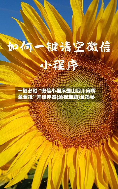 一键必胜“微信小程序蜀山四川麻将免费挂”开挂神器{透视辅助}全揭秘-第2张图片