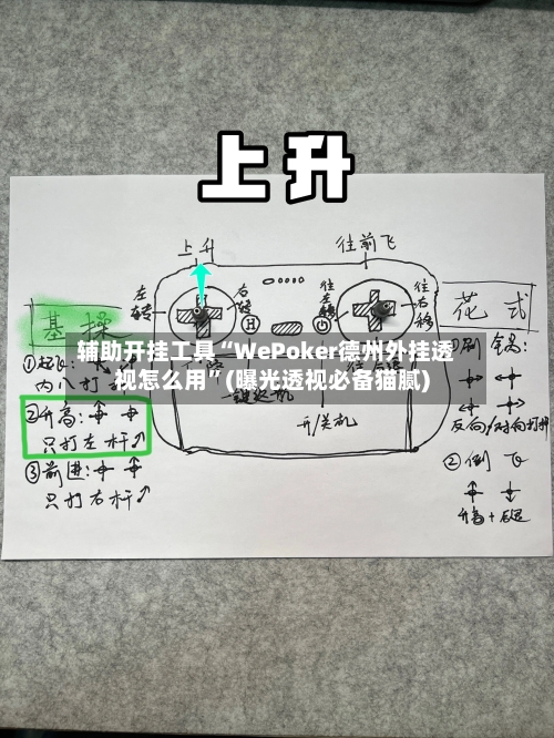 辅助开挂工具“WePoker德州外挂透视怎么用”(曝光透视必备猫腻)-第2张图片