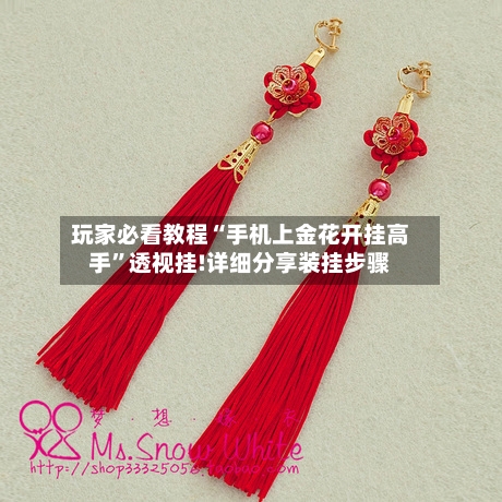 玩家必看教程“手机上金花开挂高手”透视挂!详细分享装挂步骤-第1张图片