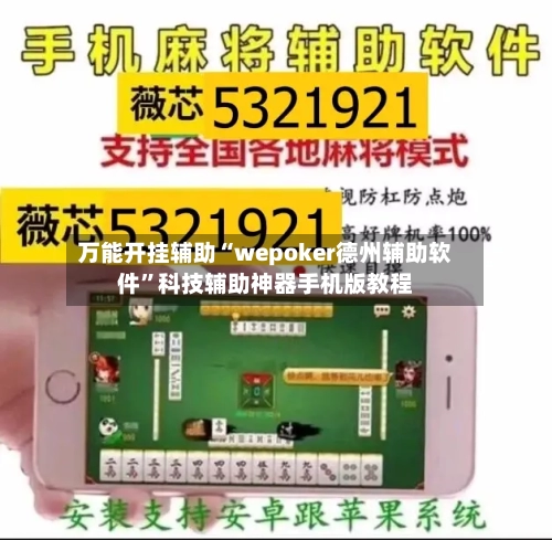 万能开挂辅助“wepoker德州辅助软件”科技辅助神器手机版教程-第2张图片