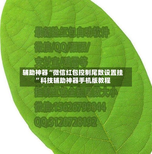 辅助神器“微信红包控制尾数设置挂	”科技辅助神器手机版教程-第1张图片