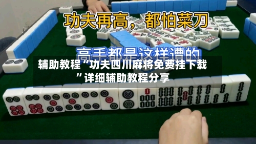 辅助教程“功夫四川麻将免费挂下载	”详细辅助教程分享-第3张图片