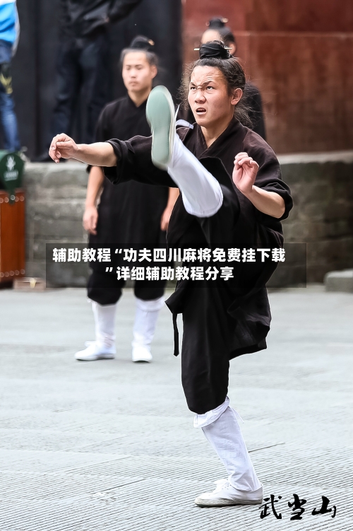 辅助教程“功夫四川麻将免费挂下载”详细辅助教程分享-第1张图片