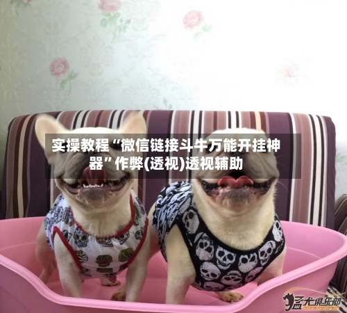 实操教程“微信链接斗牛万能开挂神器”作弊(透视)透视辅助-第3张图片