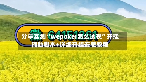分享实测“wepoker怎么透视”开挂辅助脚本+详细开挂安装教程-第3张图片