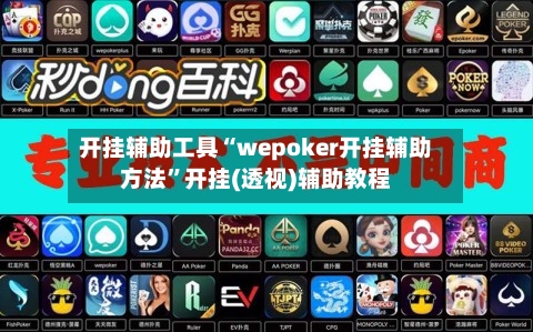 开挂辅助工具“wepoker开挂辅助方法”开挂(透视)辅助教程-第1张图片
