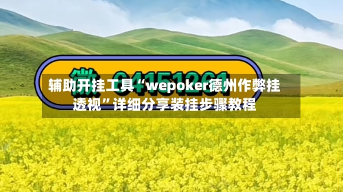 辅助开挂工具“wepoker德州作弊挂透视”详细分享装挂步骤教程-第3张图片