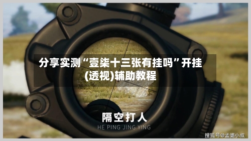 分享实测“壹柒十三张有挂吗”开挂(透视)辅助教程-第1张图片