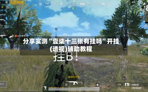 分享实测“壹柒十三张有挂吗	”开挂(透视)辅助教程-第3张图片