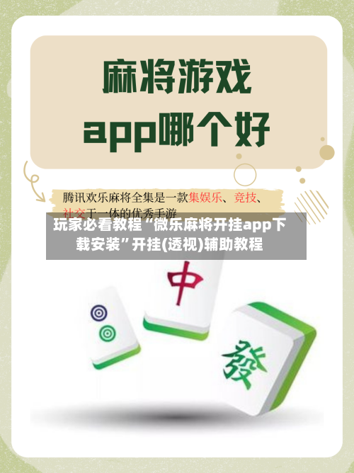 玩家必看教程“微乐麻将开挂app下载安装”开挂(透视)辅助教程-第3张图片