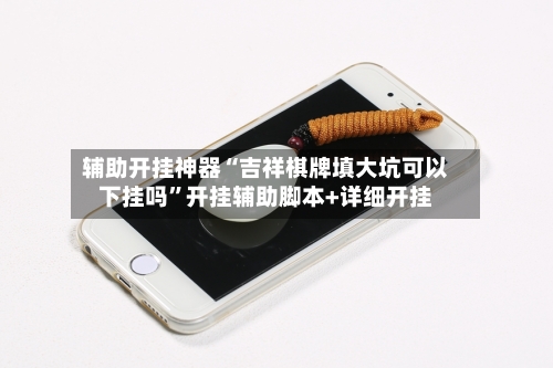 辅助开挂神器“吉祥棋牌填大坑可以下挂吗”开挂辅助脚本+详细开挂-第3张图片