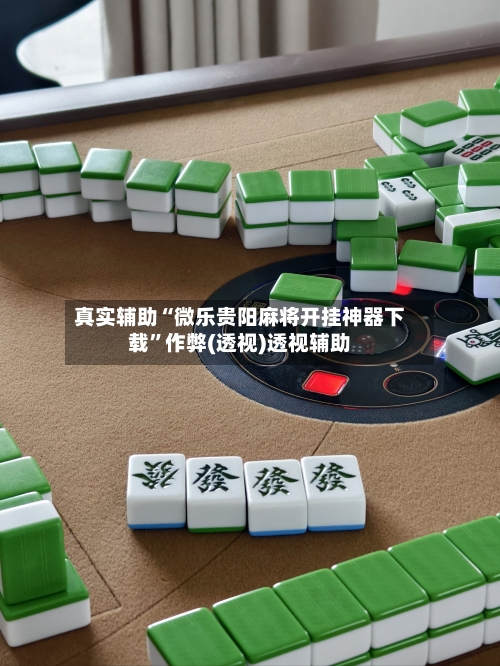 真实辅助“微乐贵阳麻将开挂神器下载”作弊(透视)透视辅助-第2张图片