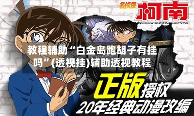 教程辅助“白金岛跑胡子有挂吗”(透视挂)辅助透视教程-第2张图片