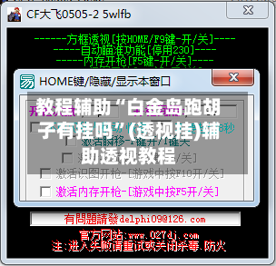 教程辅助“白金岛跑胡子有挂吗”(透视挂)辅助透视教程-第3张图片