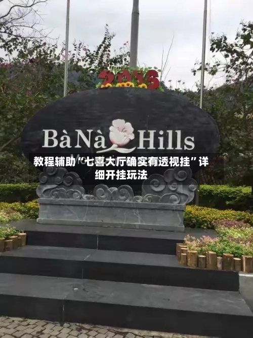 教程辅助“七喜大厅确实有透视挂”详细开挂玩法-第1张图片