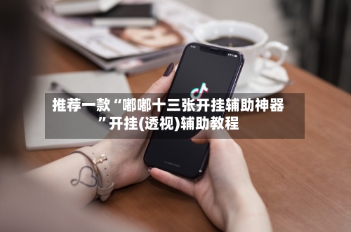 推荐一款“嘟嘟十三张开挂辅助神器”开挂(透视)辅助教程-第2张图片