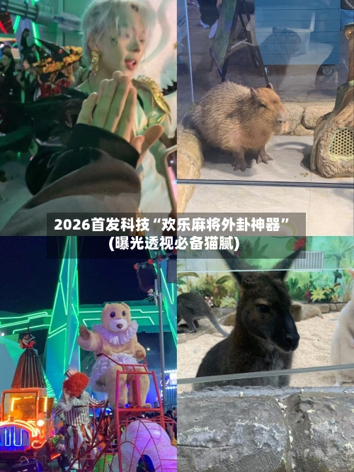 2026首发科技“欢乐麻将外卦神器”(曝光透视必备猫腻)-第3张图片