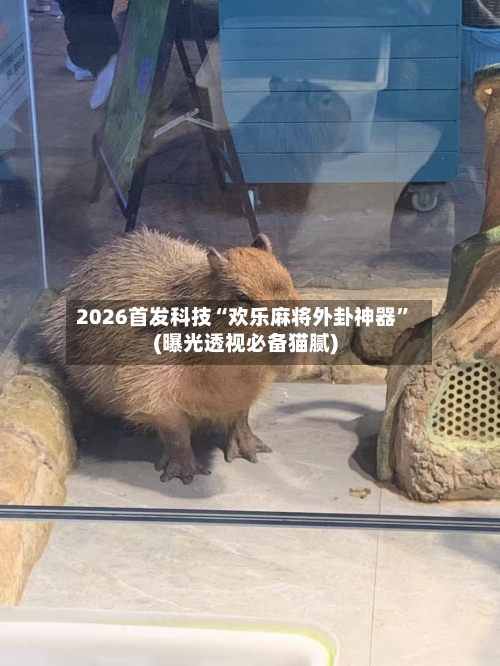 2026首发科技“欢乐麻将外卦神器	”(曝光透视必备猫腻)-第2张图片