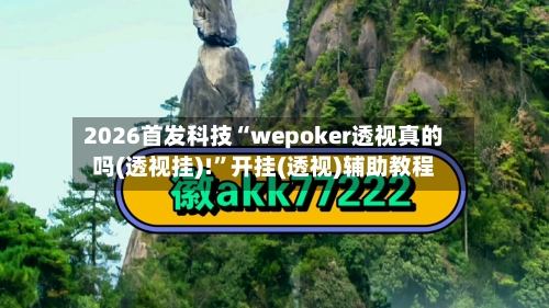 2026首发科技“wepoker透视真的吗(透视挂)!”开挂(透视)辅助教程-第3张图片