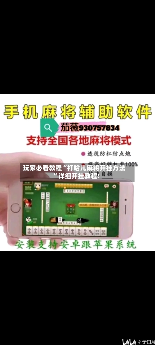 玩家必看教程“打哈儿麻将开挂方法”详细开挂教程!-第1张图片