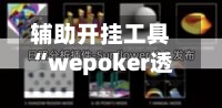 辅助开挂工具“wepoker透视脚本官网?”开挂(透视)辅助-第3张图片
