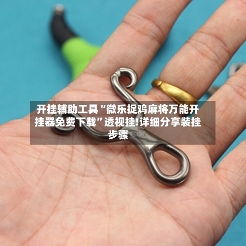 开挂辅助工具“微乐捉鸡麻将万能开挂器免费下载”透视挂!详细分享装挂步骤-第2张图片